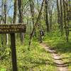 Old River Trail near entrance of Camp Orr