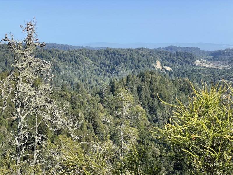 Monterey in the distance