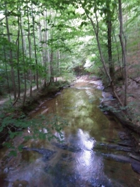 Looking down stream.