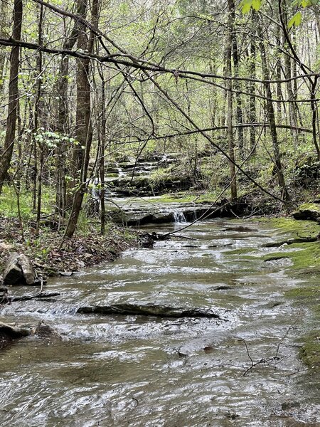 One of several stream crossings.