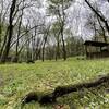 Primitive campsite with outhouse, spring house, and fire pit.