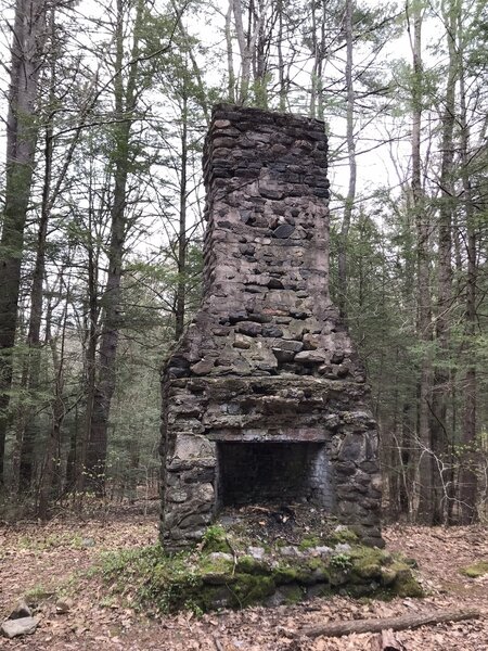 Remnant Chimney (possibly left from the CCC Lodge).