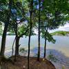 Northernmost point of the trail, looking out across Chickamauga Lake.