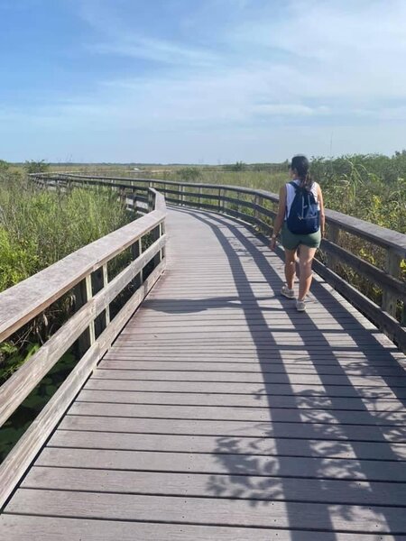 Anhinga Trail to find alligators