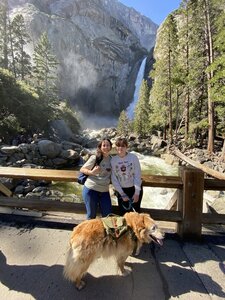 Lower Yosemite Falls. Dogs are allowed on this trail, and Owen absolutely loved it!