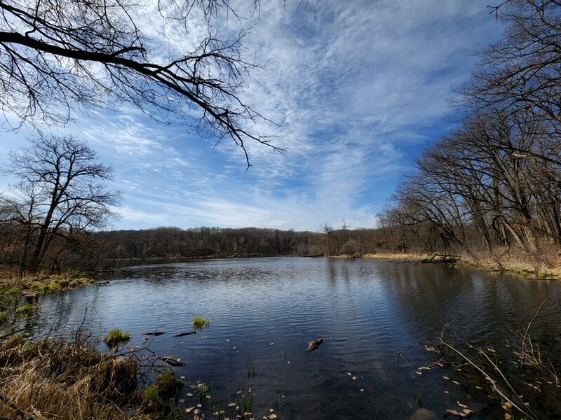 Sedge Pond