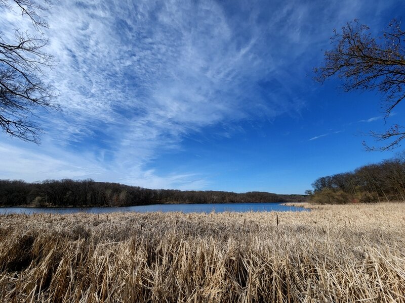 Marshes on the edge of Jensen Lake.