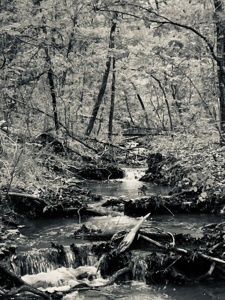 This pic was taken over the weekend at Cadron Settlement just as you start up the hill. I thought the black and white would be something different.