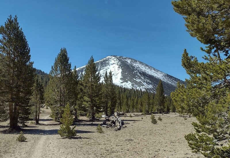 Heading south-southeast on the PCT, Mount Guyot, 12,300 ft., rises up ahead.