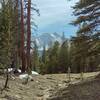 The northern end of Red Spur ridge peaks through the trees from the far side of Kern Canyon. Seen looking southwest from the PCT just north of Crabtree Meadows.