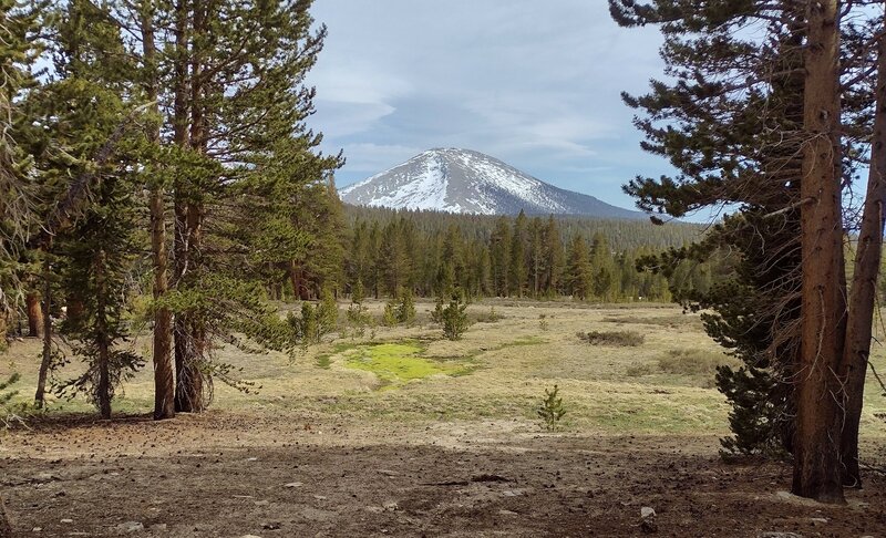 Mount Guyot, 12,300 ft., can be seen to the south from a clearing at a high spot along the PCT near Wallace Creek. Pretty high meadows turning spring green in early May.