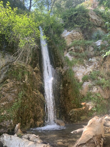 Lewis Falls at end of hike.