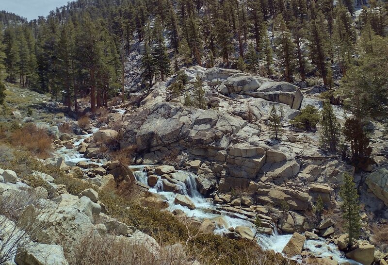 Full of early May snow melt, Wallace Creek is impressive as it cascades below the trail.