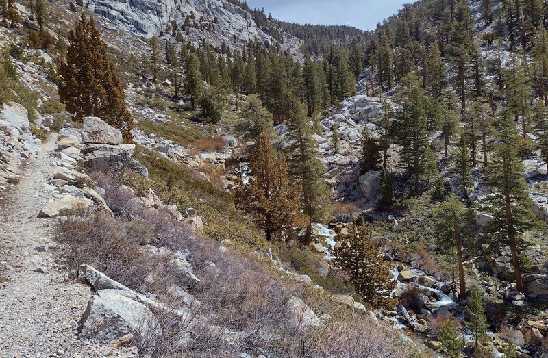 The trail (left) follows Wallace Creek (below) upstream in beautiful, rugged, high Sierra terrain.