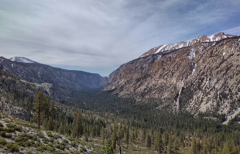 Kern Canyon. 3,000 foot walls with Red Spur rising above them on the right. 2,000 foot walls on the left. Seen looking south from Wallace Creek/High Sierra Trail near the canyon head.