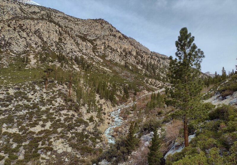 The Kern River cascading down from the high basin of its sources, at the head of Kern Canyon. Seen looking north near the Wallace Creek trail junction.