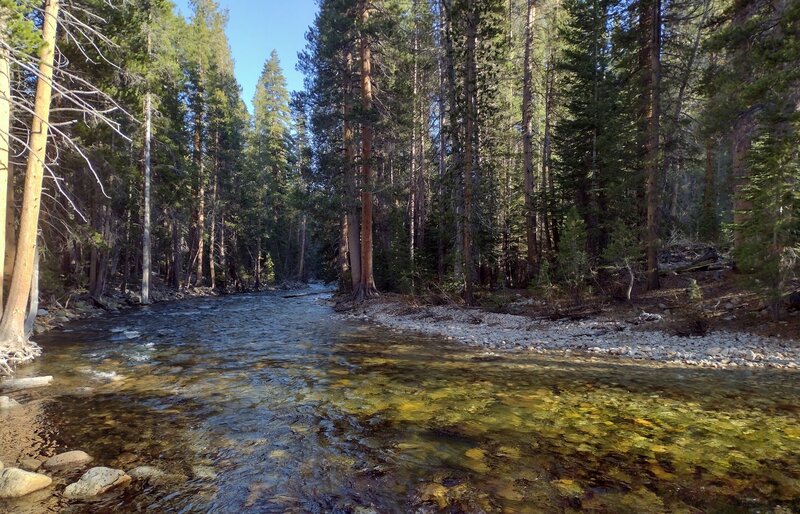 Evening along the Kern River at Junction Meadow trail camp, a lovely place to spend the night.