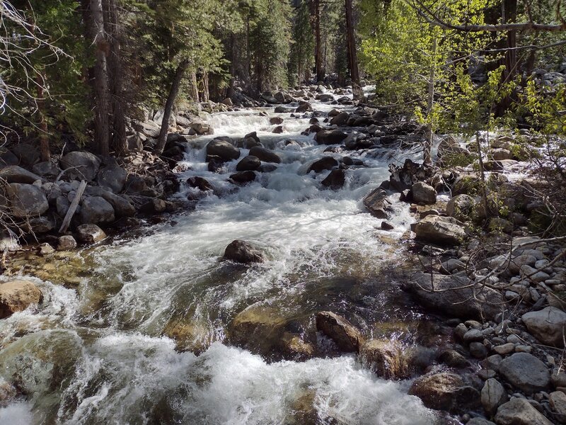 Big Arroyo close to where it empties into the Kern River. Looking upstream.