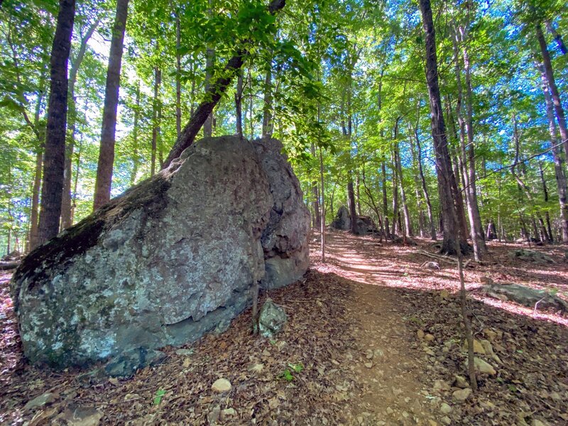 15 foot basalt boulder along the trail.