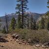 Thw west side of Kern Canyon is seen through the trees in the distance as the trail heads down the switchbacks to the canyon bottom and Kern River.