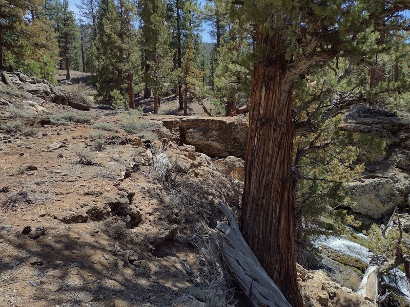 The trail crosses Malpais Creek on the Natural Bridge (center). Malpais Creek cascades downstream (lower right) after emerging from the Natural Bridge.