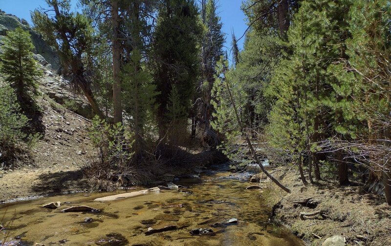 Golden Trout Creek in Golden Trout Wilderness, Inyo National Forest. Named for the official California state freshwater fish.