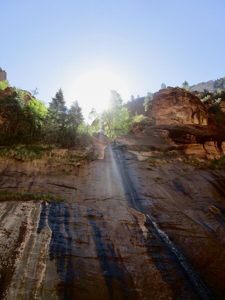 Runoff in the Narrows