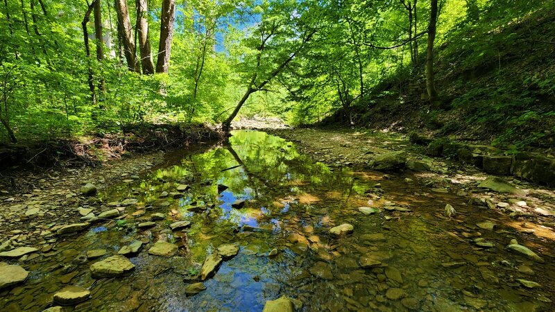 View from the trail