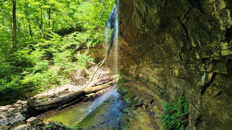 View from the trail