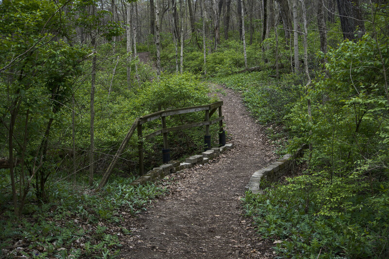 Trail passing through the woods