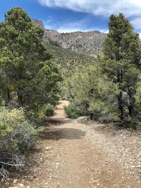 Eagle's Nest Trail