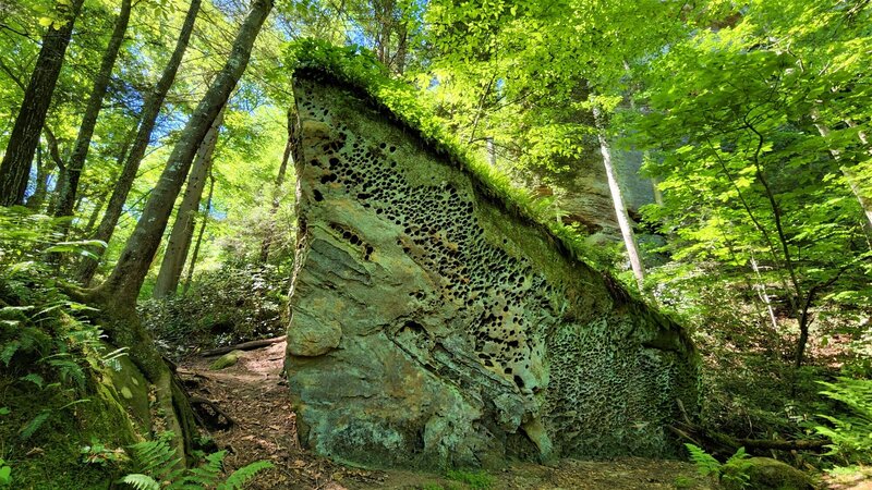 View from the trail