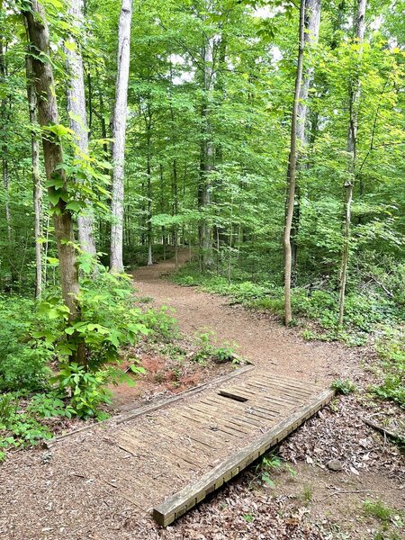 Bridge near the Frazer Center trail access.