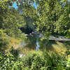 View of the First Broad River from the First Broad River Trail in Shelby, NC