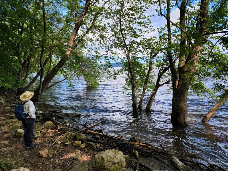 On the shores of Lake Pepin (Mississippi River).