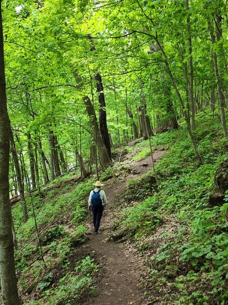 On the level section of the Lower Bluffside Trail.