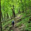 On the level section of the Lower Bluffside Trail.