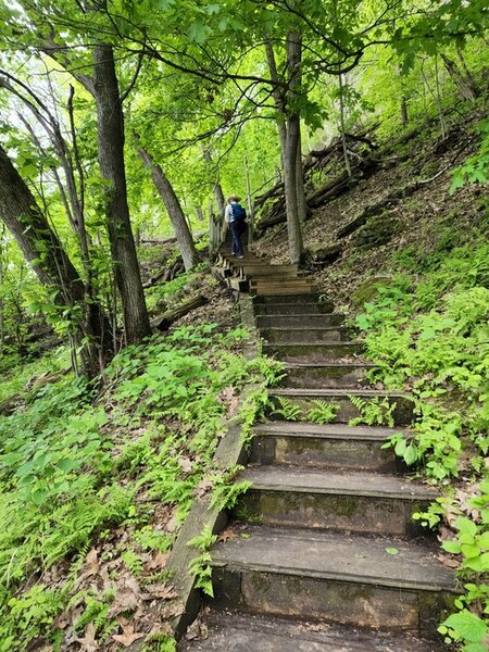 Climbing stairs at the eastern end of the Lower Bluffside.