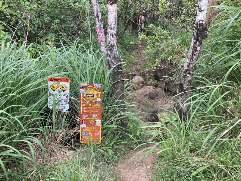 Sign at 2.8 miles. Cross the stream and take the trail on the right that goes up the hill.