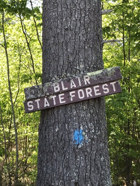 Blair State Forest