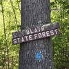 Blair State Forest