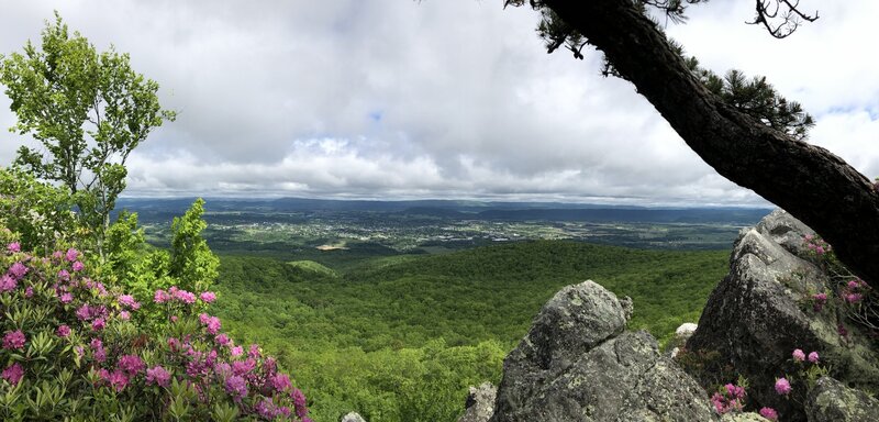 A scenic view of Wytheville.