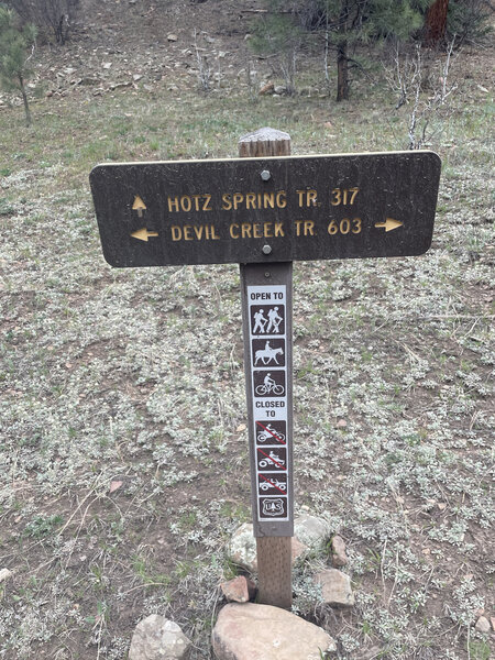 Junction of Devil Creek and Hotz Pring