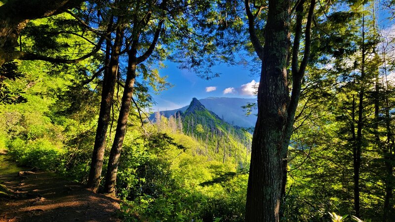 View from the trail and new Lookout Point.