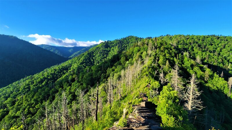 View from the trail