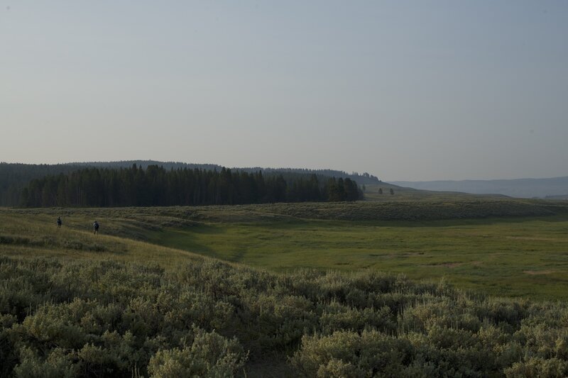 The trail skirts the Yellowstone River drainage through Hayden Valley.