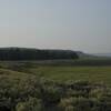 The trail skirts the Yellowstone River drainage through Hayden Valley.