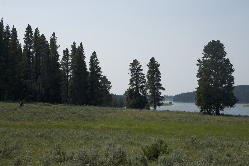 The trail meanders through fields and forests as it approaches Fishing Bridge.