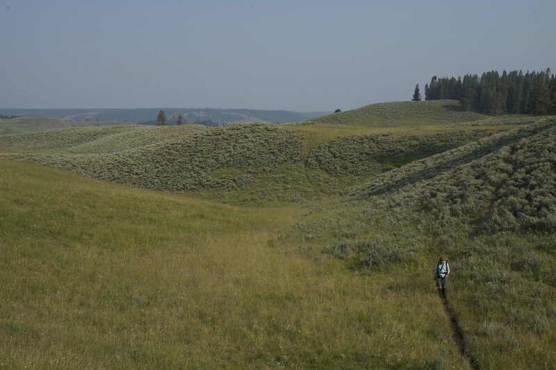 The trail rises and falls as it makes its way through Hayden Valley.