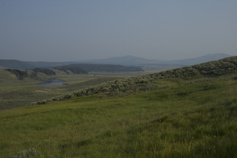 Looking back down Hayden Valley. You are never far from the road, but you seem to be far away from the people.